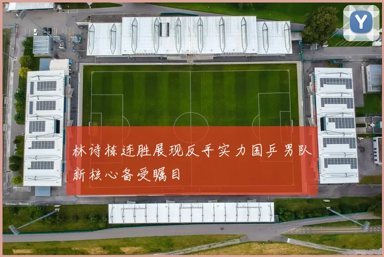 林诗栋连胜展现反手实力国乒男队新核心备受瞩目