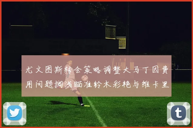 尤文图斯转会策略调整大马丁因费用问题搁浅瞄准铃木彩艳与维卡里奥