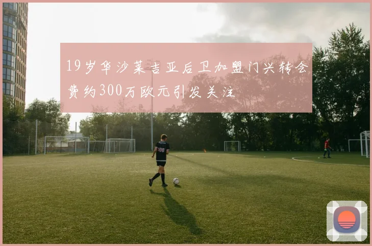 19岁华沙莱吉亚后卫加盟门兴转会费约300万欧元引发关注